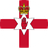 Северна Ирландия W